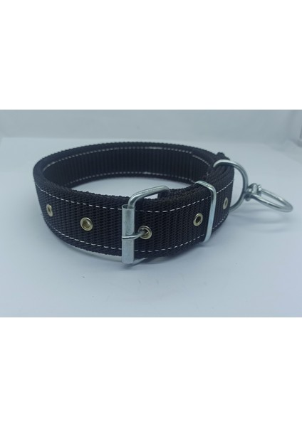 Lı Büyük Irk Köpek Tasmasi 65-70CM