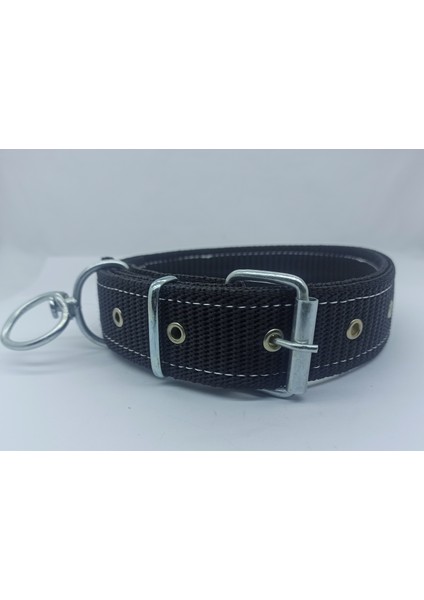 Lı Büyük Irk Köpek Tasmasi 65-70CM fırsatları