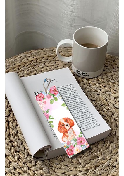 Kitap Ayracı 5li Konsept