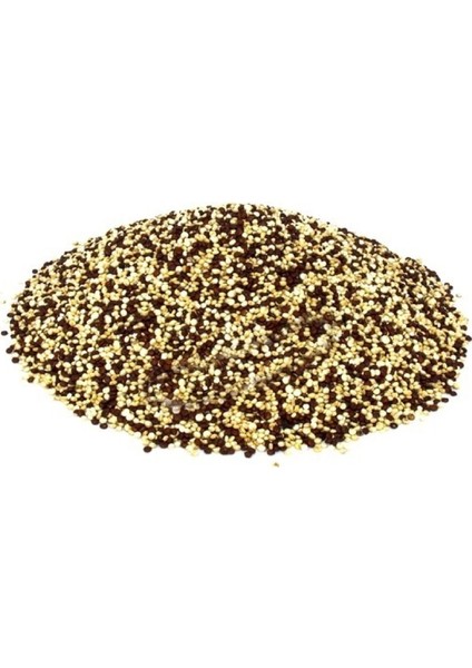 Kinoa Tohumu Chenopodium Quinoa Willd 1 kg