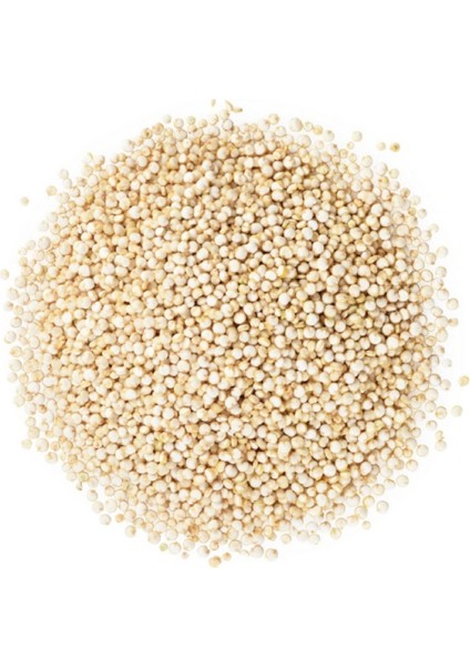 Kinoa Tohumu Chenopodium Quinoa Willd 1 kg