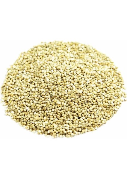 Kinoa Tohumu Chenopodium Quinoa Willd 1 kg