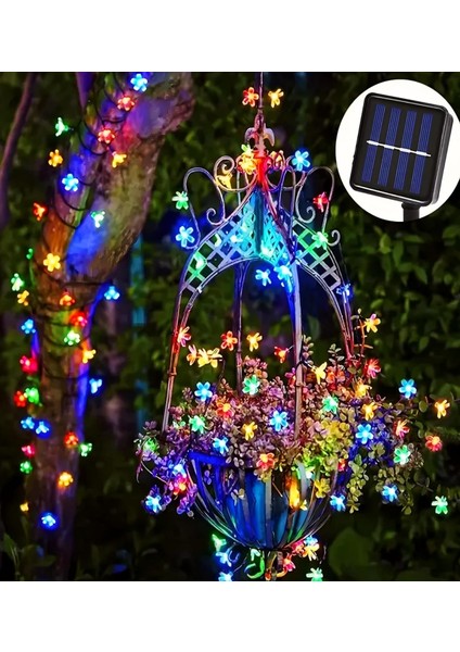 Güneş Enerjili Rgb Gökkuşağı 30 LED Çiçek Zinciri Kiraz Çiçeği IP65 Su Geçirmez Solar Işık Zinciri Dış Mekan Bahçe Veranda Avlu Çardak Noel Ağacı Partiler (Rgb Gökkuşağı)