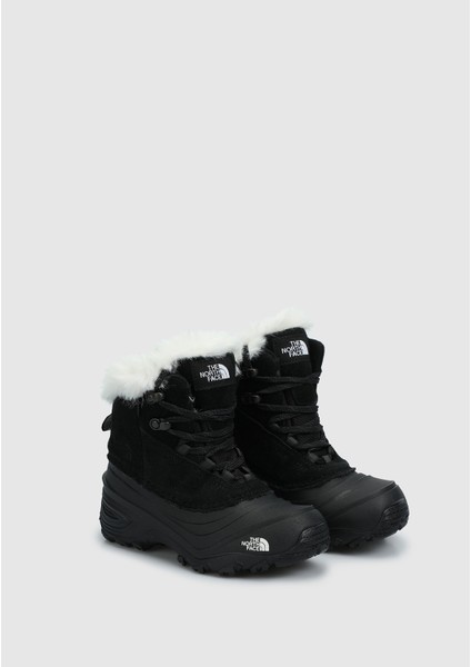 NF0A7W5XKX71 Y Shellısta V Lace Wp fiyatları