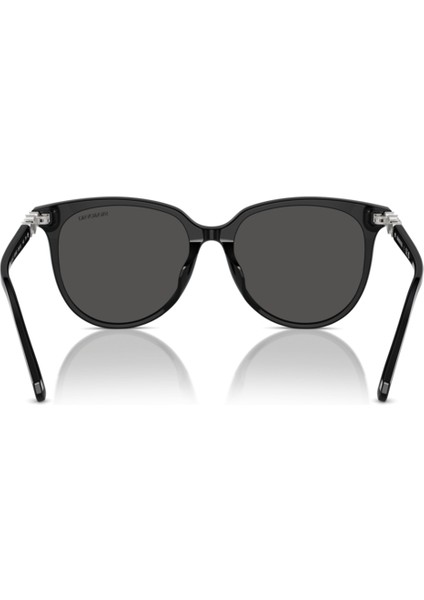 Swarovskı Sk 6023D 100187 56*16*145 Kadın Güneş Gözlüğü modelleri