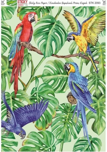 STK2093 Kendinden Yapışkanlı Sticky Pirinç Kağıdı