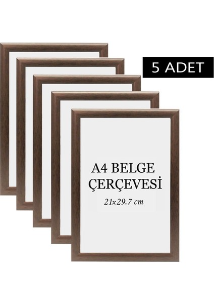 5 Li Set A4(21X29.7) Diploma Çerçevesi Belge Çerçeveleri Sertifika Çerçevesi