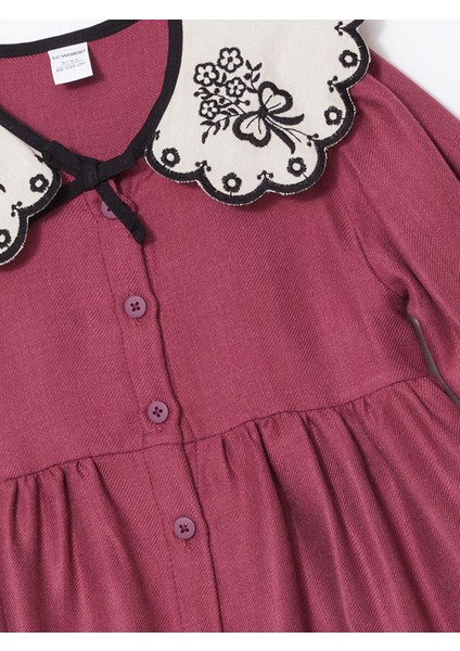 Lcw Kids Bebe Yaka Uzun Kollu Kız Bebek Elbise fiyatları
