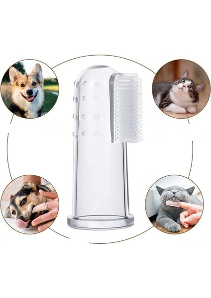 Kedi Köpek Diş Fırçası Silikon Kutulu 3'lü Set