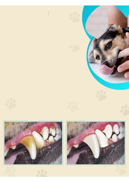 Kedi Köpek Diş Fırçası Silikon Kutulu 3'lü Set