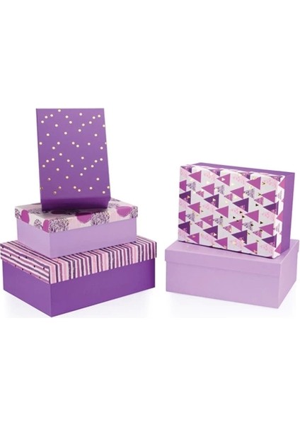 Vıola Dikdörtgen Kutusu BX0707 D 210X285X115MM