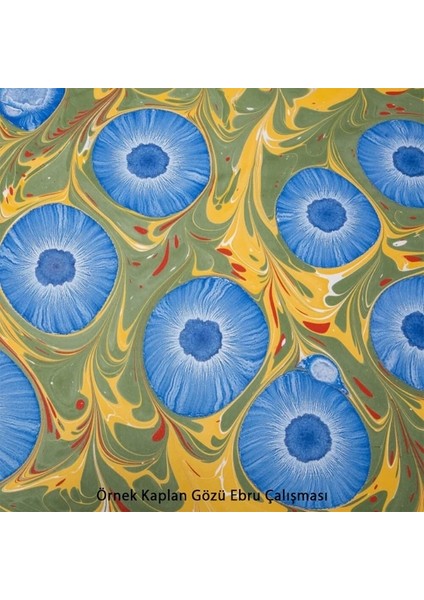 Kaplan Gözü Sıvısı 100ML. fiyatları