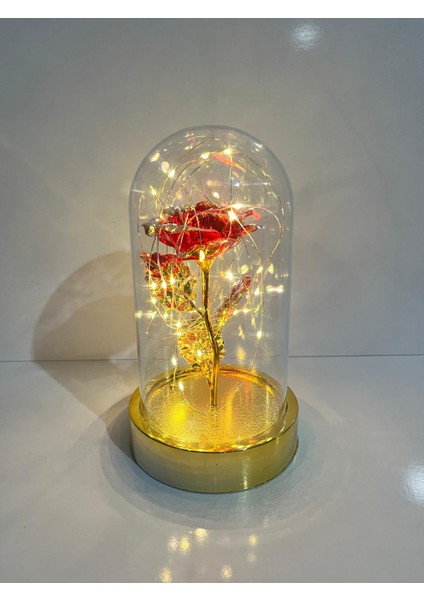 Sevgililer ve Anneler Gününe Özel Dekoratif Solmayan Sonsuzluk Gül Işıklı Fanus Işıklı Gold Fanus