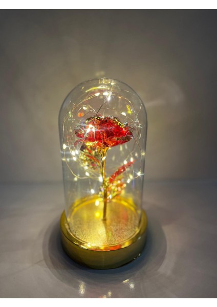 Sevgililer ve Anneler Gününe Özel Dekoratif Solmayan Sonsuzluk Gül Işıklı Fanus Işıklı Gold Fanus fiyatları