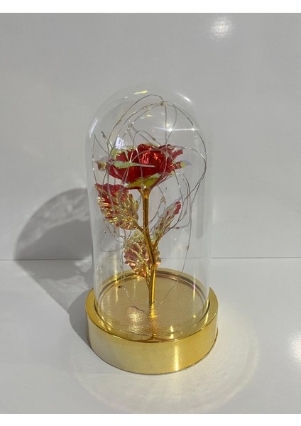 Sevgililer ve Anneler Gününe Özel Dekoratif Solmayan Sonsuzluk Gül Işıklı Fanus Işıklı Gold Fanus modelleri