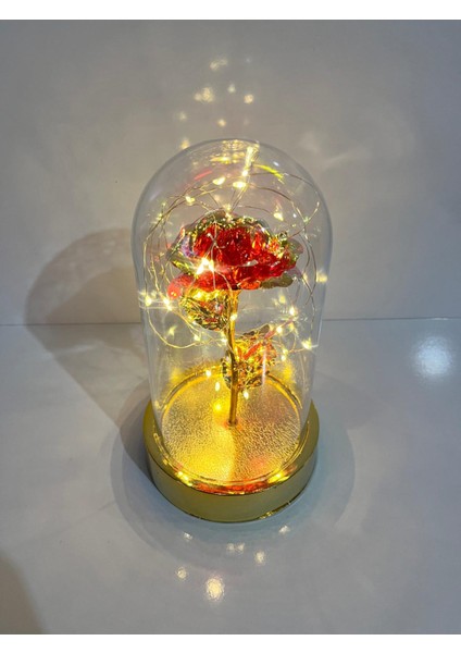 Sevgililer ve Anneler Gününe Özel Dekoratif Solmayan Sonsuzluk Gül Işıklı Fanus Işıklı Gold Fanus fırsatları