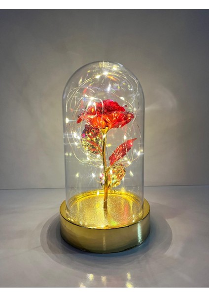 Sevgililer ve Anneler Gününe Özel Dekoratif Solmayan Sonsuzluk Gül Işıklı Fanus Işıklı Gold Fanus indirimleri