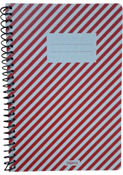 Papirüs Retro 16X23CM 80 Yaprak Kareli Defter