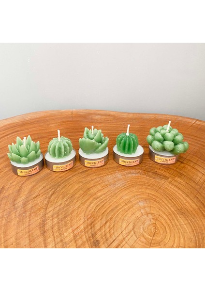 Gia Design 5'li Dekoratif Succulent Tealight Kokulu Mum Seti