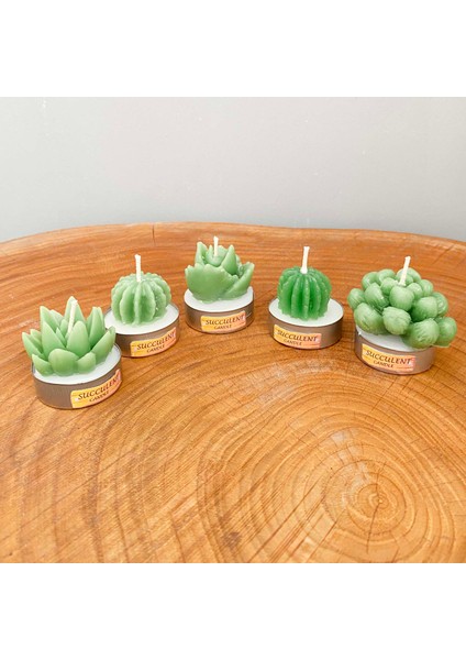 Gia Design 5'li Dekoratif Succulent Tealight Kokulu Mum Seti