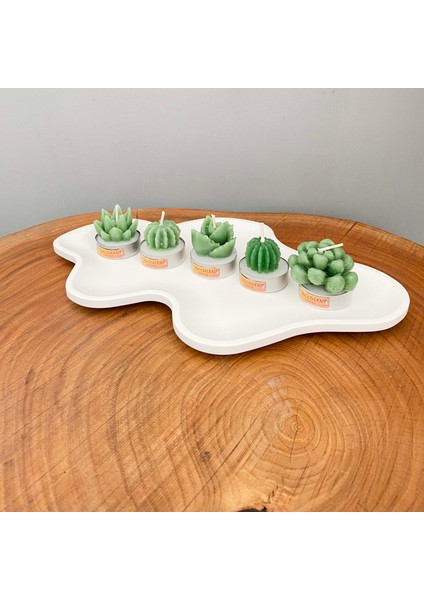 Gia Design 5'li Dekoratif Succulent Tealight Kokulu Mum ve Asimetrik Dekoratif Tabak  Aksesuar Seti