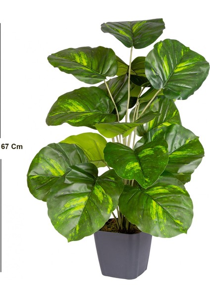 Tekno Trust Saksıda Yapay Tropik Difenbahya Gerçek Dokulu 18 Yaprak 67 Cm.