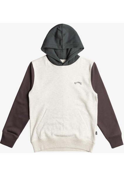 Arch Block Po Erkek Sweatshirt