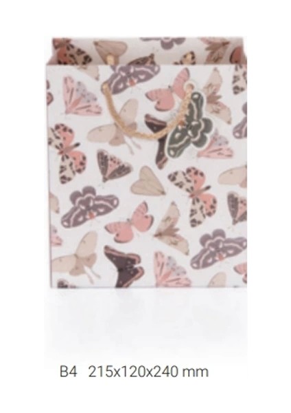 B4 Nabi Karton Çanta BG0882