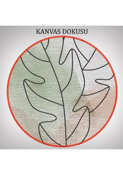 3’lü Tablo Suluboya Bitki Şekilleri Dekoratif Şık ve Modern Duvar Tablo Seti-Bd-29