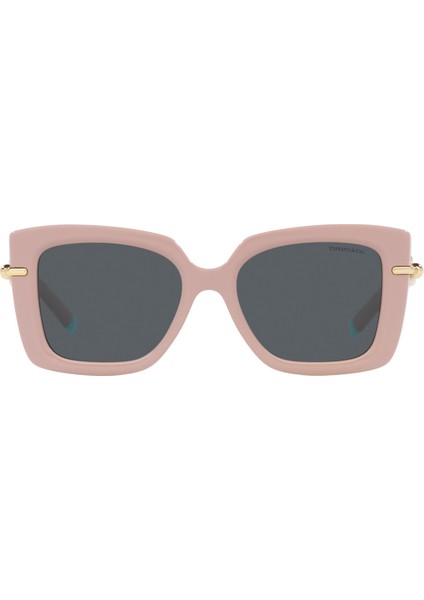 TF4199 53 8231/3F Güneş Gözlüğü fiyatları