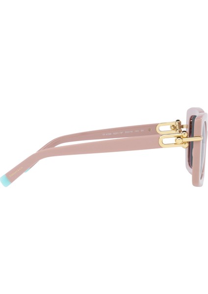 TF4199 53 8231/3F Güneş Gözlüğü fırsatları