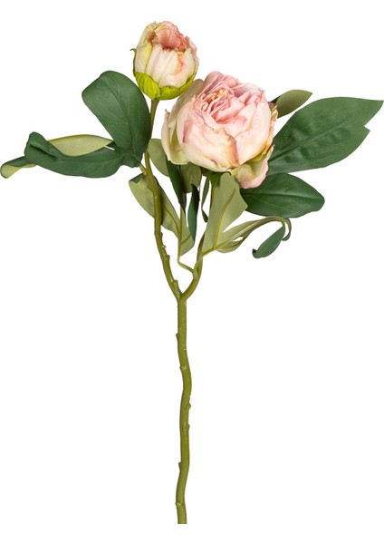 Yapay Çiçek Şakayık Kurumuş Efektli Pembe-Krem 50 Cm.