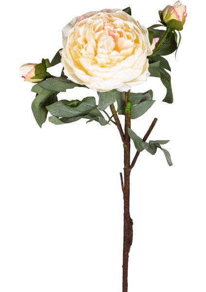 Yapay Çiçek Gül Dalı Krem 58 Cm.