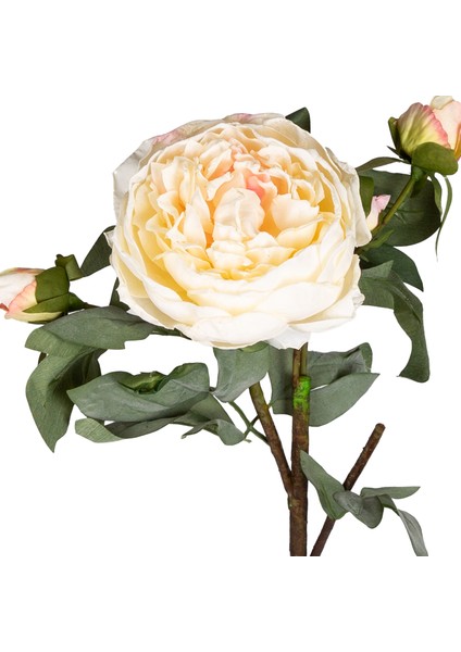 Yapay Çiçek Gül Dalı Krem 58 Cm. fiyatları