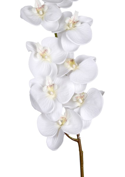 Yapay Çiçek Orkide Beyaz 115 Cm. fiyatları