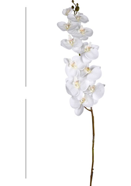 Yapay Çiçek Orkide Beyaz 115 Cm. modelleri