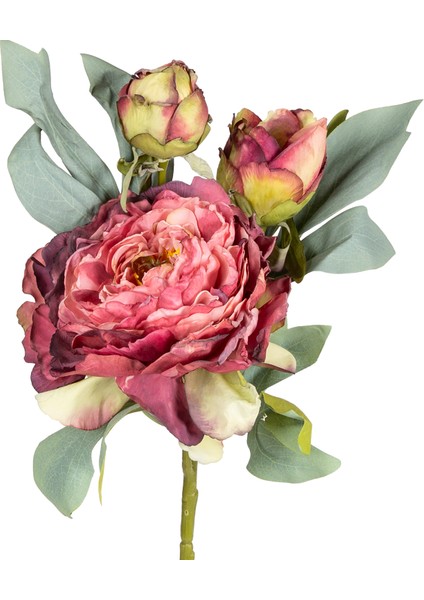 Yapay Çiçek Şakayık Gül Kurusu 62 Cm.