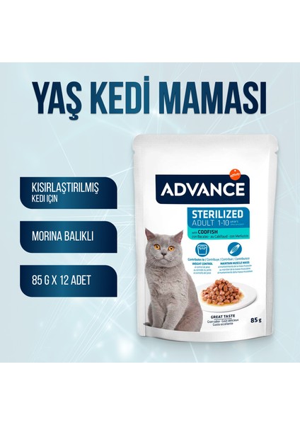 Cat Sterilized Morina Balıklı Pouch Kısırlaştırılmış Kedi Yaş Maması 85 Gr