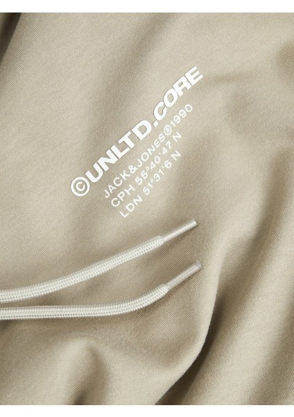 Jack Jones Aero Kapüşonlu Erkek Sweat 12260010 fiyatları