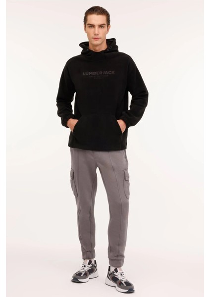 Logolu Regular Fit Kapüşonlu Sweat Erkek Sweat 17IH fiyatları
