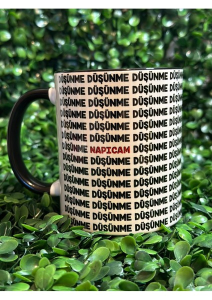 Napıcam Kupa fiyatları