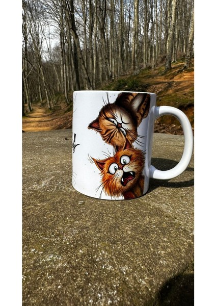 Çılgın Kedi Kupa fiyatları