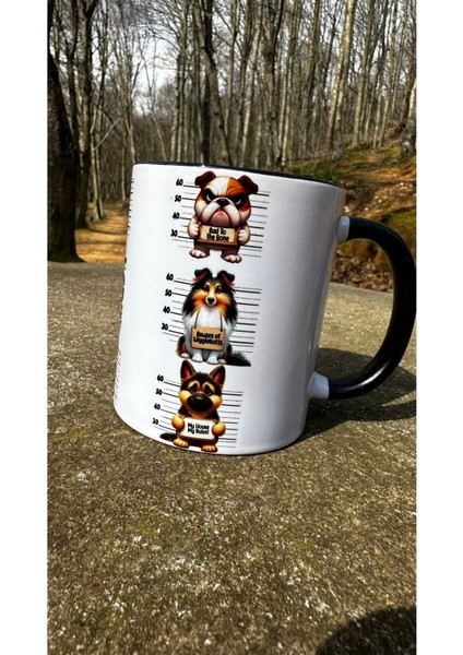 Köpek Kupa fiyatları