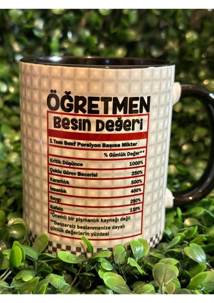 Öğretmen Kupa modelleri