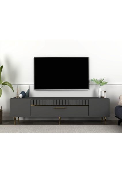 DEKOLP1CT Tv Sehpası Antrasit-Altın