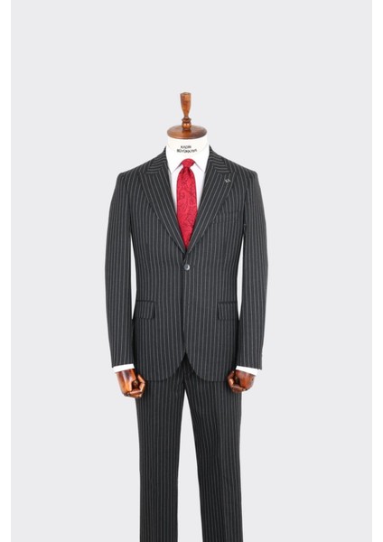 Kırlangıç Yaka Iki Düğmeli Erkek Takım ELBISE-KAX1330S