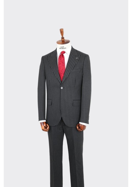 Kırlangıç Yaka Iki Düğmeli Erkek Takım ELBISE-KAX1330S fiyatları