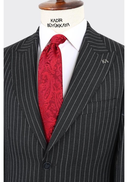 Kırlangıç Yaka Iki Düğmeli Erkek Takım ELBISE-KAX1330S modelleri