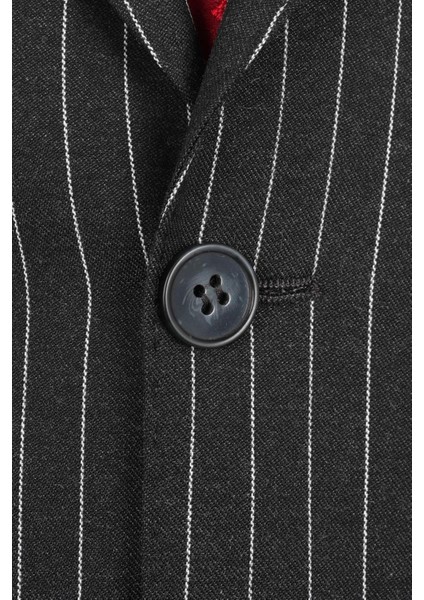 Kırlangıç Yaka Iki Düğmeli Erkek Takım ELBISE-KAX1330S indirimleri