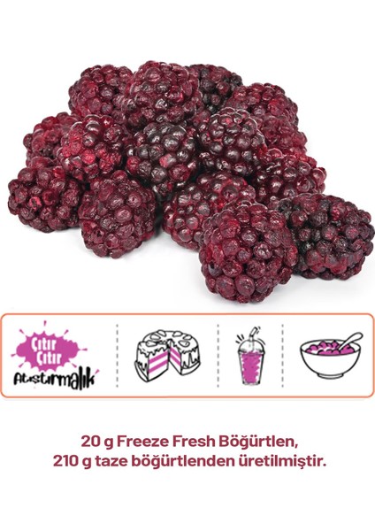 Pol’s Freeze Fresh Çilek 15 g x 1 Adet, Vişne 25 g x 1 Adet , Böğürtlen 20 g x 1 Adet Freeze Dry Dondurularak Kurutulmuş Meyve